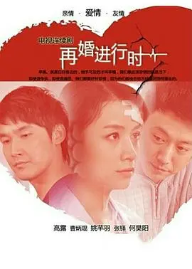 《再婚进行时》：直面现实婚姻困境，一场关于爱与勇气的“真人秀”式考验！
